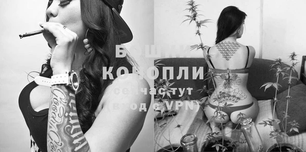 скорость Гусь-Хрустальный