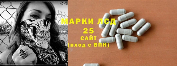 стаф Дмитриев