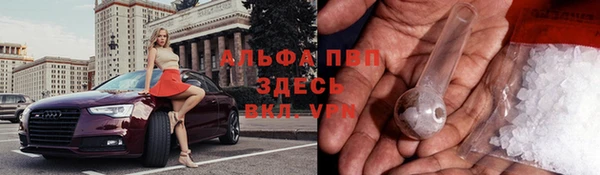 стаф Дмитриев