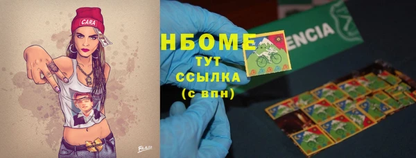 стаф Дмитриев