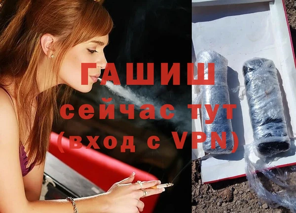 стаф Дмитриев