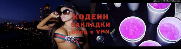 метадон Гусев