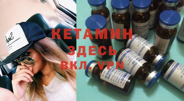 стаф Дмитриев