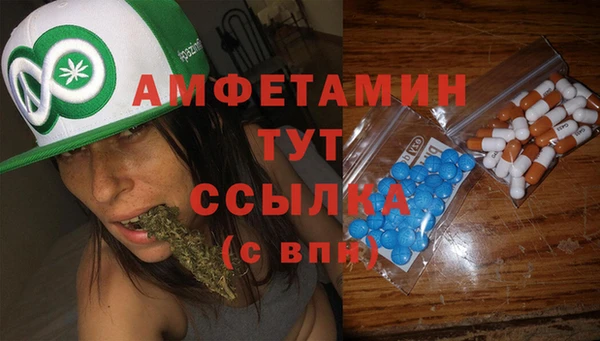 стаф Дмитриев
