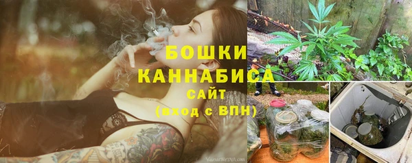 стаф Дмитриев