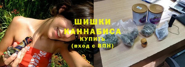 стаф Дмитриев