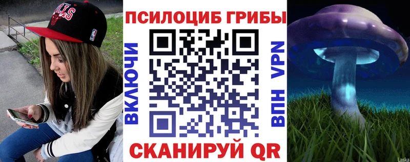 Купить  Нефтегорск  Псилоцибиновые грибы мицелий 
